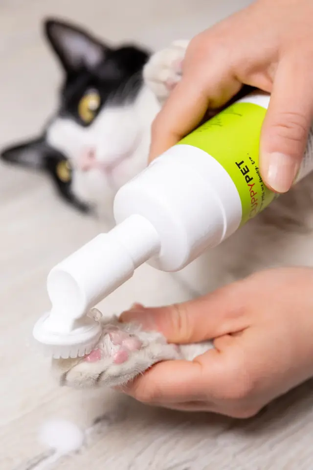 CUPPEYPET Kediler Için Pati Temizleme Köpüğü 150 ml