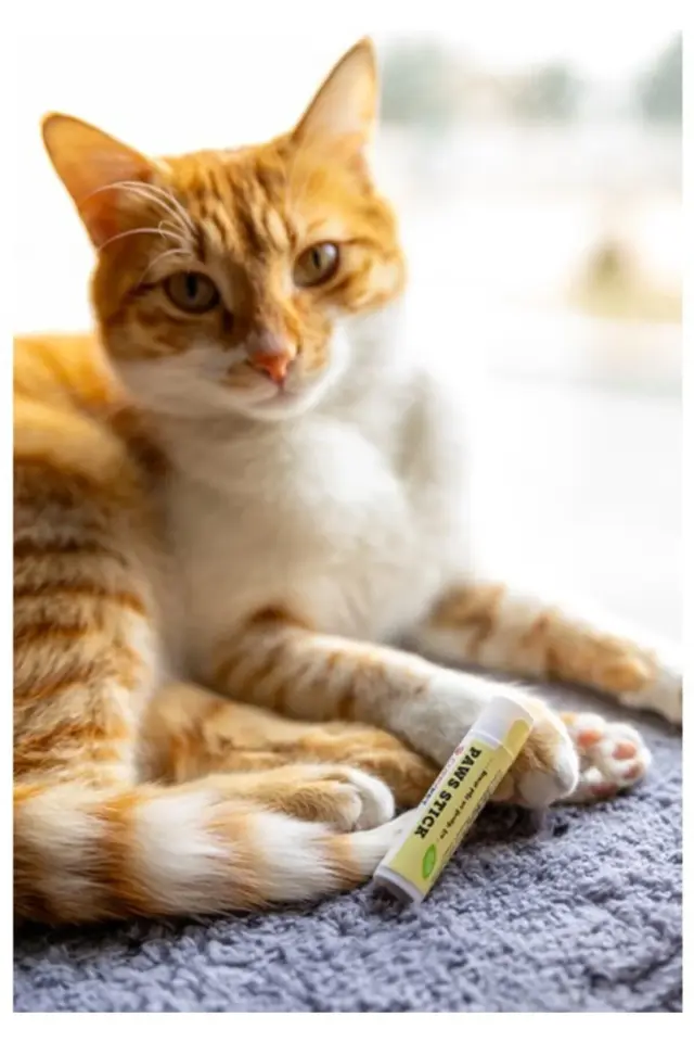 EVCİL HAYVANLAR İÇİN PATİ BAKIM STİCK